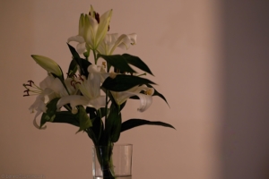 benno@www-Lumino-city_DSC01581-den