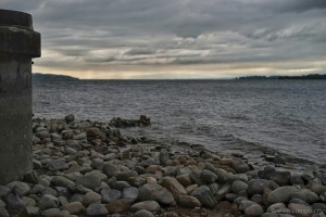 20150917_LuminoCity_duck-no-lake-bodensee          