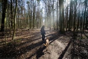 benno@www-Lumino-city DSC00974