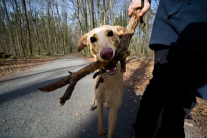 benno@www-Lumino-city DSC00980