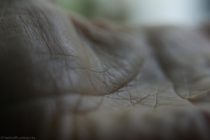 benno www-lumino-city dsc01801sm